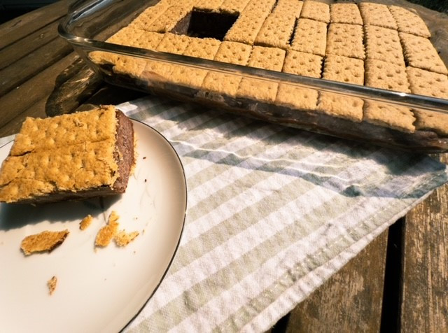 Chocolate Peanut Butter Frozen Bars