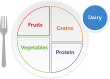 image of the MyPlate icon with the dairy group highlighted