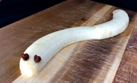one Fruit Snake