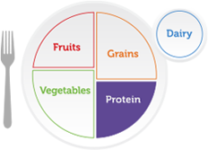image of the MyPlate icon with the protein foods group highlighted