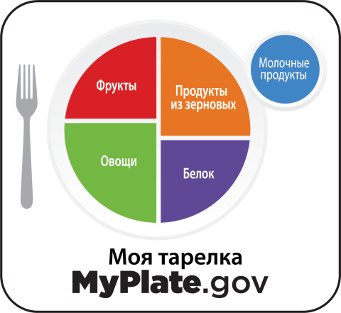 MyPlate icon in Russian